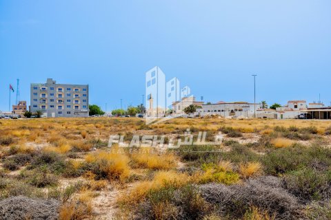 Pozemek v Al Mairid, Ras Al Khaimah, SAE 1347.1 m² Č.: 611684 - fotografie 3