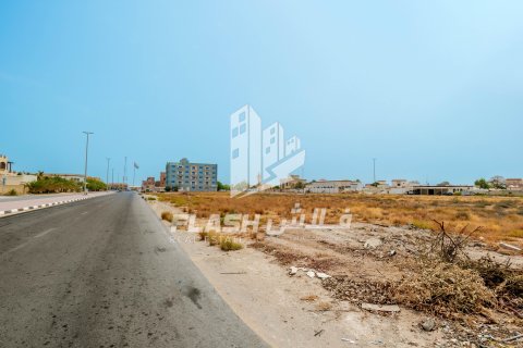 Pozemek v Al Mairid, Ras Al Khaimah, SAE 1347.1 m² Č.: 611684 - fotografie 12