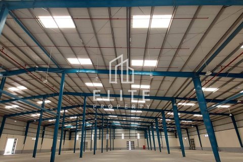 Sklad v Sharjah, SAE 15121 m² Č.: 619930 - fotografie 11