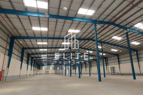 Sklad v Sharjah, SAE 15121 m² Č.: 619930 - fotografie 16