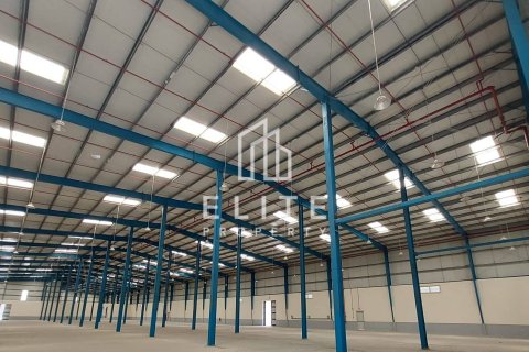 Sklad v Sharjah, SAE 15121 m² Č.: 619930 - fotografie 15
