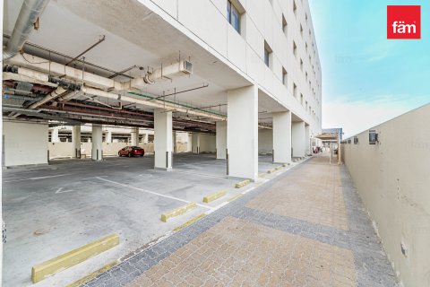 Budova v Dubai, SAE 6858 m² Č.: 582696 - fotografie 15
