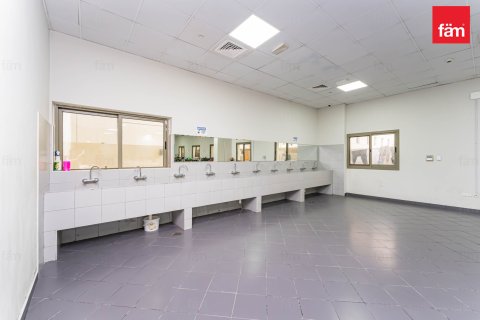 Budova v Dubai, SAE 6858 m² Č.: 582696 - fotografie 13