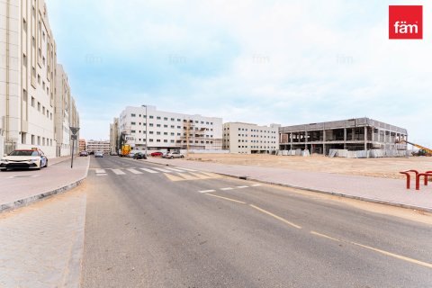 Budova v Dubai, SAE 6858 m² Č.: 582696 - fotografie 22
