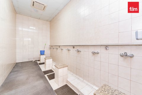 Budova v Dubai, SAE 6858 m² Č.: 582696 - fotografie 10