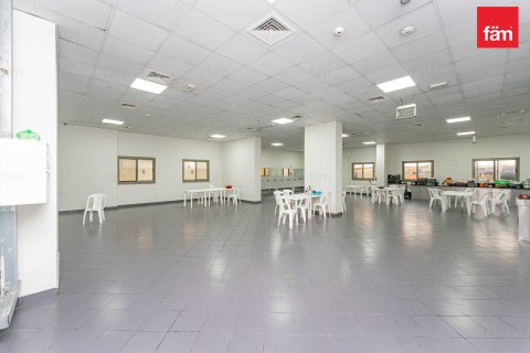 Budova v Dubai, SAE 6858 m² Č.: 582696 - fotografie 17