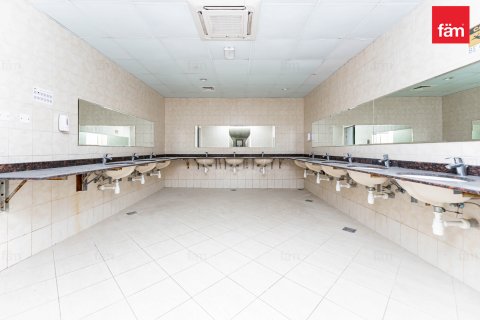 Budova v Dubai, SAE 6858 m² Č.: 582696 - fotografie 23