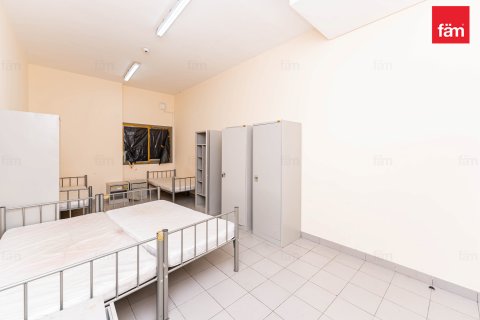 Budova v Dubai, SAE 6858 m² Č.: 582696 - fotografie 7