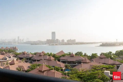 Byt v Palm Jumeirah, Dubai, SAE 50.4 m² Č.: 579373 - fotografie 11