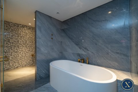 阿联酋 Dubai Palm Jumeirah 待租 : 3 卧, 216 平方米 , 编号628240 - 照片 12