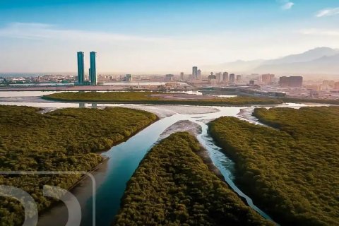 Vila v Ras Al Khaimah, SAE 4 ložnice, 3818 m² Č.: 632603 - fotografie 2