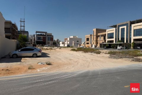 Pozemek v Dubai, SAE 1824.5 m² Č.: 718983 - fotografie 6
