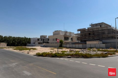 Pozemek v Dubai, SAE 1824.5 m² Č.: 718983 - fotografie 2
