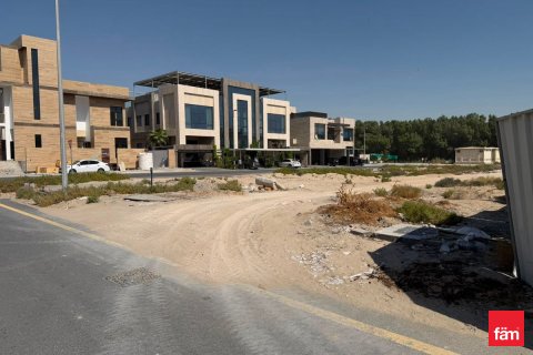 Pozemek v Dubai, SAE 1824.5 m² Č.: 718983 - fotografie 5