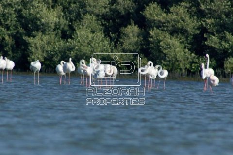 Byt v Al Zorah, Ajman, SAE 62.8 m² Č.: 583064 - fotografie 30