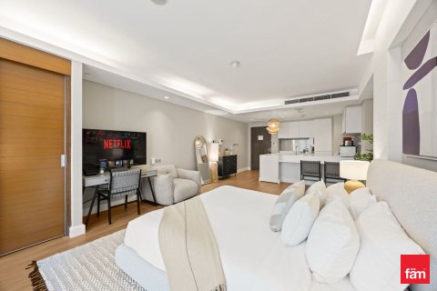 آپارتمان برای اجاره در Downtown Dubai (Downtown Burj Dubai)، Dubai، امارات متحده عربی 56.1 متر مربع ، شماره 694340 - تصویر 18