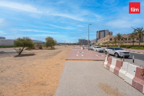 Land in Wadi Al Safa 2, Dubai, UAE 487.2 sq.m. № 610498 - photo 8