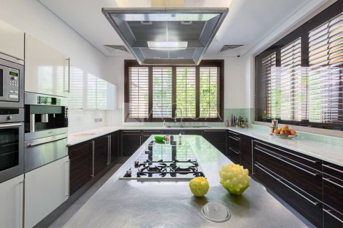 Villa til salgs i Al Barari, Dubai, Emiratene 6 soverom, 1181.1 kvm Nr. 696657 - Foto 7