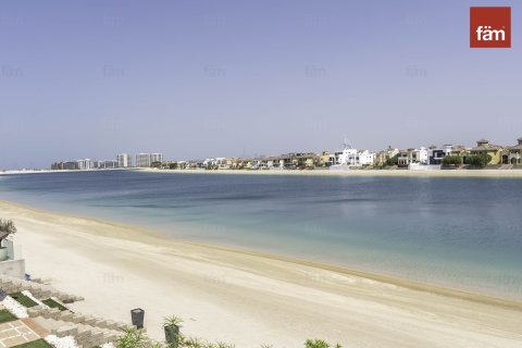 Vila v Palm Jumeirah, Dubai, SAE 4 ložnice, 657.7 m² Č.: 580932 - fotografie 22