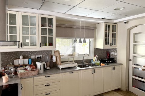 Huvila Meadows, Dubai, Arabiemiraatit 5 makuuhuonetta, 565 m2 № 685826 - kuva 6