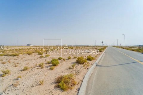 Pozemek v Dubai, SAE 707.3 m² Č.: 601292 - fotografie 7
