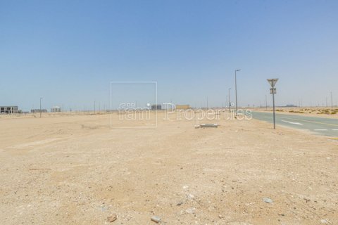 Pozemek v Dubai, SAE 707.3 m² Č.: 601292 - fotografie 10