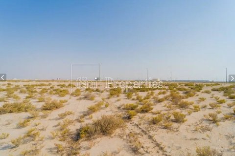 Pozemek v Dubai, SAE 707.3 m² Č.: 601292 - fotografie 9