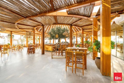 آپارتمان برای اجاره در Palm Jumeirah، Dubai، امارات متحده عربی 1 خوابه ، 138.5 متر مربع ، شماره 703660 - تصویر 21