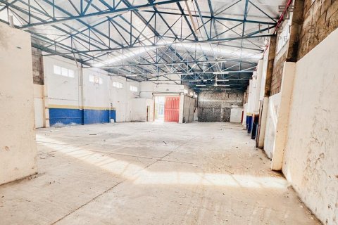 Warehouse in Deira, Dubai, UAE 696.8 sq.m. № 571574 - photo 3