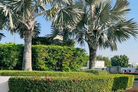 Müüa ridamaja asukohaga Dubai, AÜE: 3 magamistoaga, 263 m² Nr 565081 - pilt 25