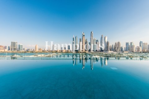 Dubai Harbour, Dubai, संयुक्त अरब अमीरात में अपार्टमेंट, 1 बेडरूम, 83.5904 वर्ग मीटर, संख्या 688241 - फ़ोटो 17