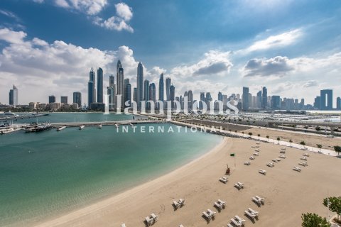 Dubai Harbour, Dubai, संयुक्त अरब अमीरात में अपार्टमेंट, 1 बेडरूम, 83.5904 वर्ग मीटर, संख्या 688241 - फ़ोटो 14