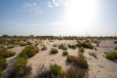 Lupain sa Jebel Ali, Dubai, UAE 1013.76 sq.m. № 742174 - larawan 7