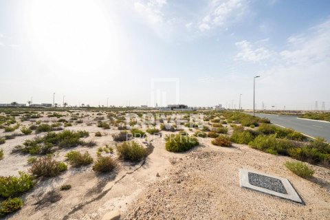 Lupain sa Jebel Ali, Dubai, UAE 1013.76 sq.m. № 742174 - larawan 3