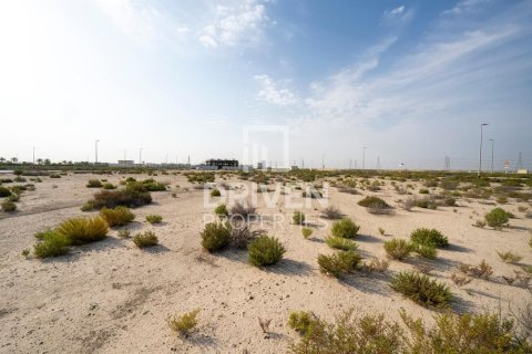 Lupain sa Jebel Ali, Dubai, UAE 1013.76 sq.m. № 742174 - larawan 6