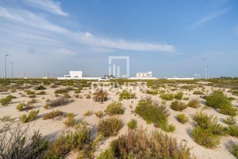 Lupain sa Jebel Ali, Dubai, UAE 1013.76 sq.m. № 742174 - larawan 5