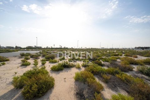 Lupain sa Jebel Ali, Dubai, UAE 1013.76 sq.m. № 742174 - larawan 11
