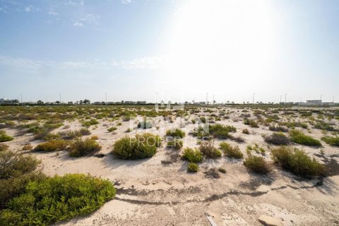 Lupain sa Jebel Ali, Dubai, UAE 1013.76 sq.m. № 742174 - larawan 2