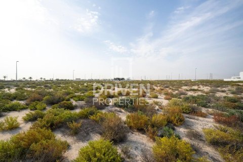 Lupain sa Jebel Ali, Dubai, UAE 1013.76 sq.m. № 742174 - larawan 10