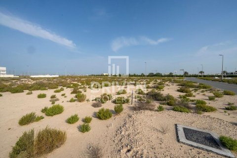 Lupain sa Jebel Ali, Dubai, UAE 1013.76 sq.m. № 742174 - larawan 9