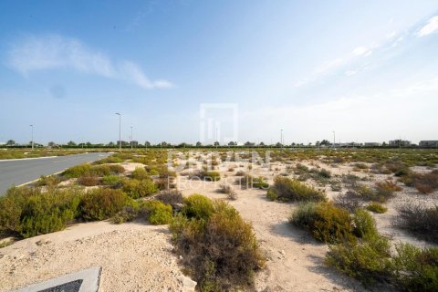 Lupain sa Jebel Ali, Dubai, UAE 1013.76 sq.m. № 742174 - larawan 12