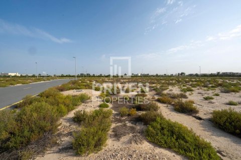 Pozemok v Jebel Ali, Dubai, SAE 1013.76 m2 č. 742174