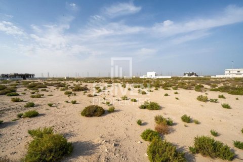 Lupain sa Jebel Ali, Dubai, UAE 1013.76 sq.m. № 742174 - larawan 8