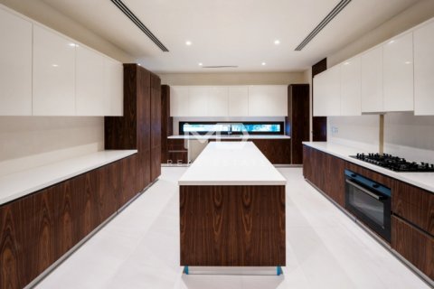 Vila v Abu Dhabi, SAE 6 ložnice, 841 m² Č.: 555154 - fotografie 79