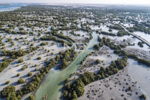 Pozemek v Abu Dhabi, SAE 649.9 m² Č.: 555155 - fotografie 14
