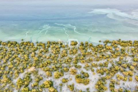 Pozemek v Abu Dhabi, SAE 649.9 m² Č.: 555155 - fotografie 18