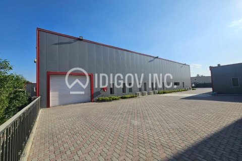 Noliktava Al Quoz, Dubaijā, AAE 3716 m2 Nr. 646245 - attēls 13