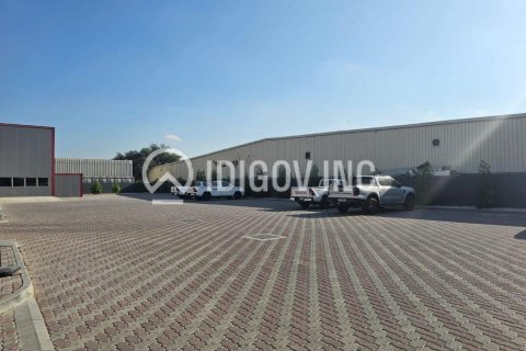 Noliktava Al Quoz, Dubaijā, AAE 3716 m2 Nr. 646245 - attēls 4