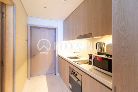 Palm Jumeirah, Dubai, संयुक्त अरब अमीरात में अपार्टमेंट, 1 कमरा, 49 वर्ग मीटर, संख्या 646241 - फ़ोटो 7