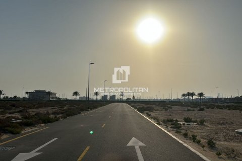 阿联酋 Dubai Jebel Ali 待售 : 1204 平方米 , 编号592220 - 照片 9